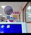 西格玛家用308怎么样